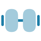 Health and Wellness Initiatives.